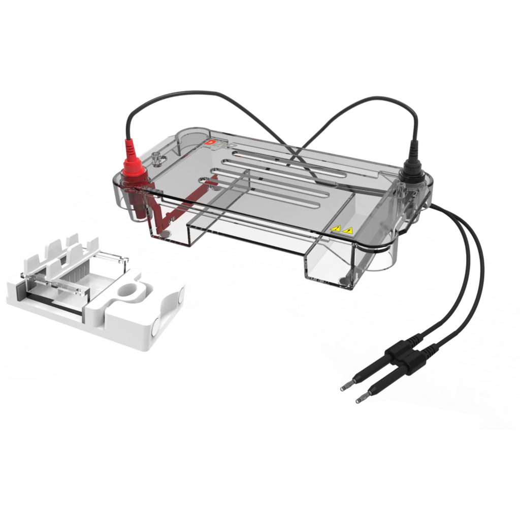 69c39d5fda3442b18ea4f15ec54a5df2 DL-SUB01 Horizontal electrophoresis tank Dezi Associates Ltd