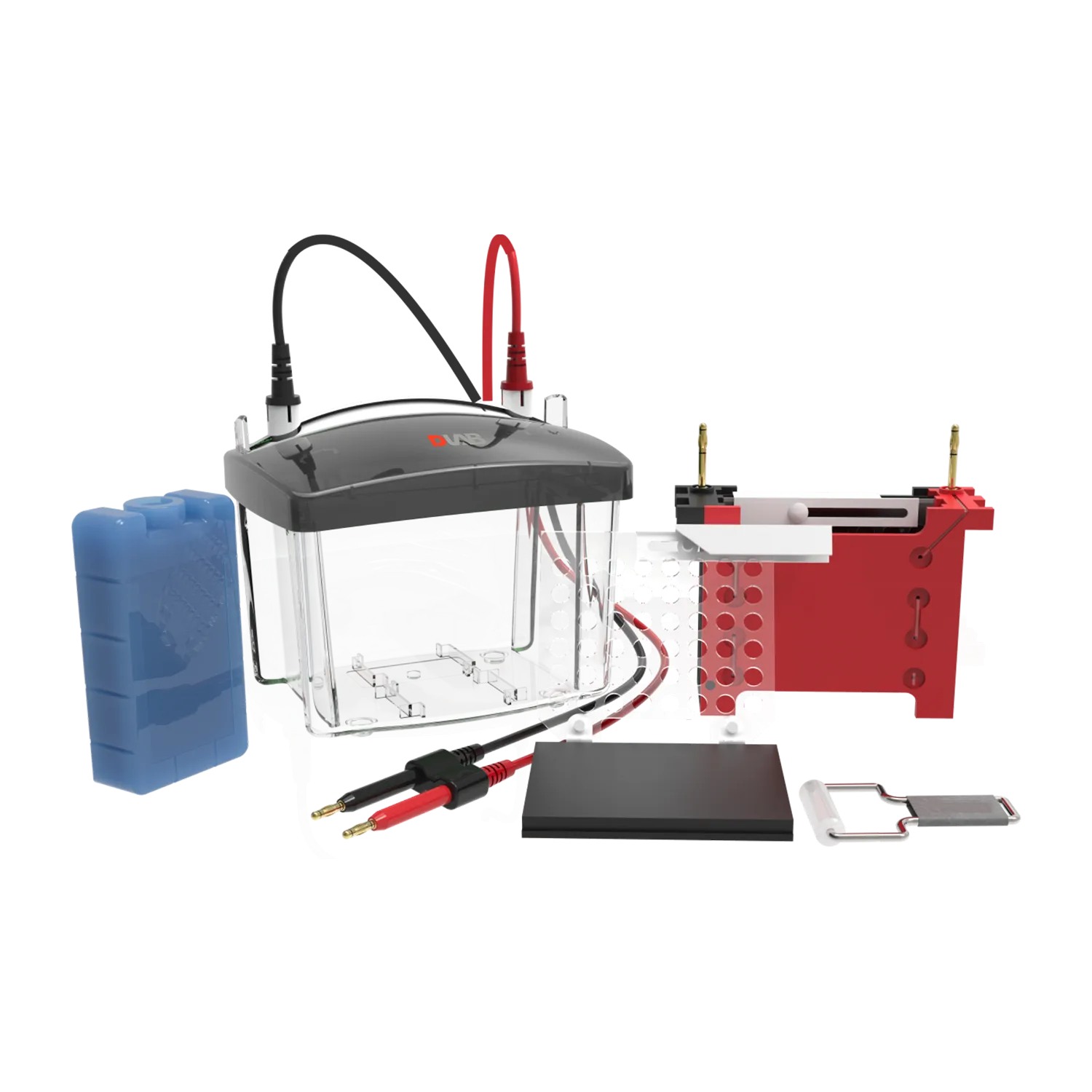 DL-ZY03 Transfer electrophoresis tank